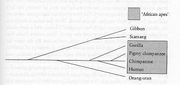 Figure 7.2